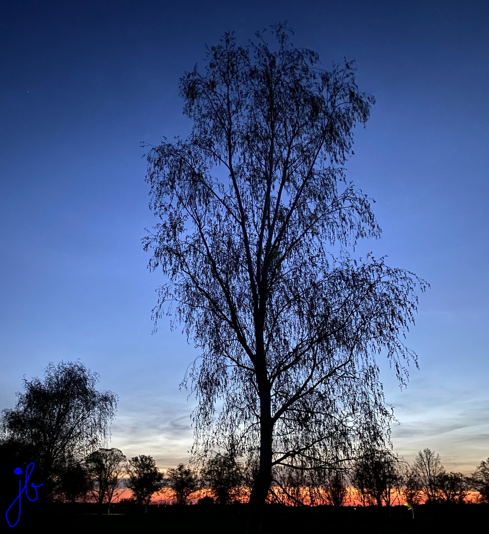 Blaue Stunde 