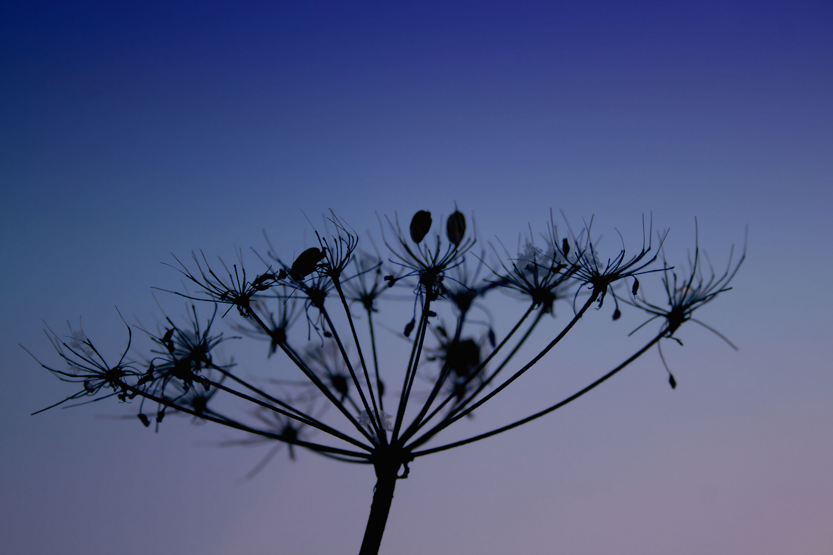 blaue Stunde