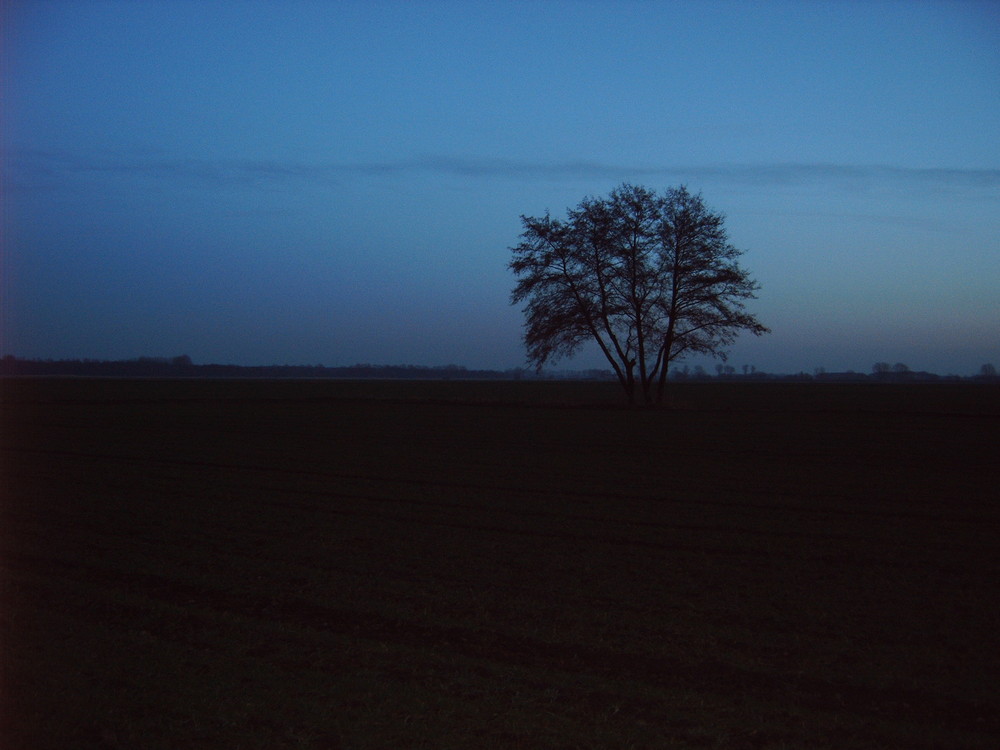 Blaue Stunde