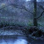 Blaue Stunde am Angerbach in Ratingen.