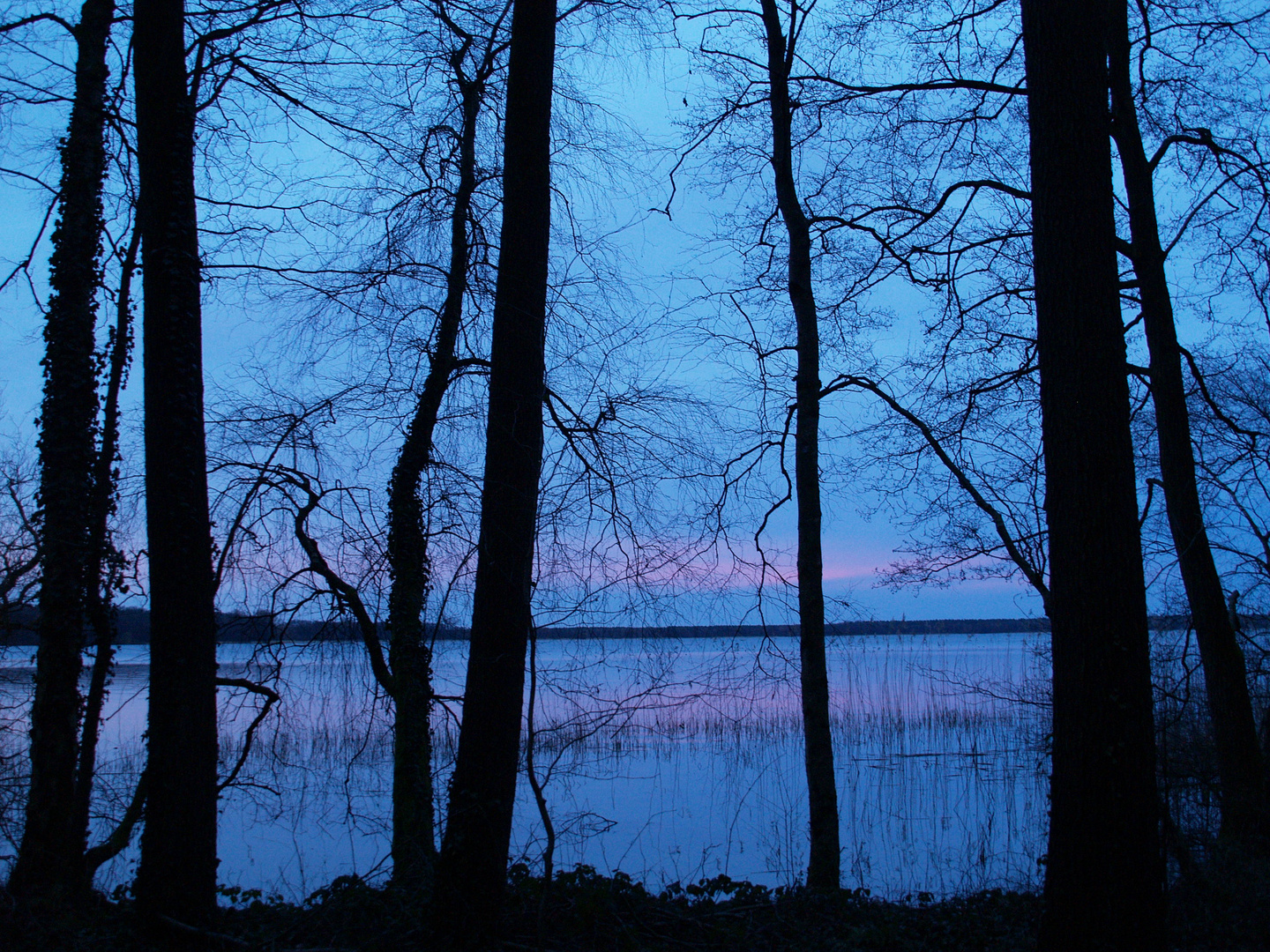 Blaue Stunde am Arenmdsee