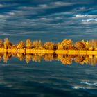 Blaue Stunde am Baggersee 