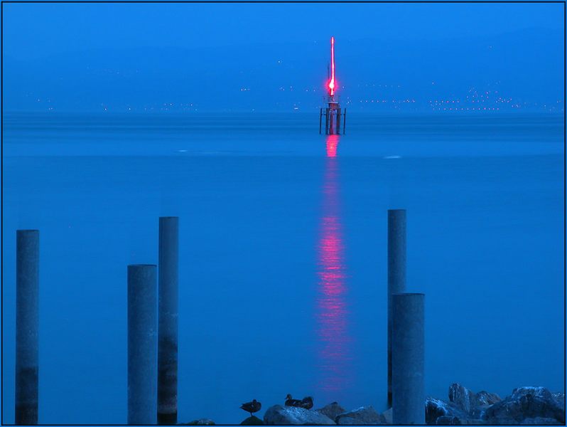 Blaue Stunde am Bodensee