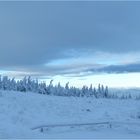 Blaue Stunde am Brocken