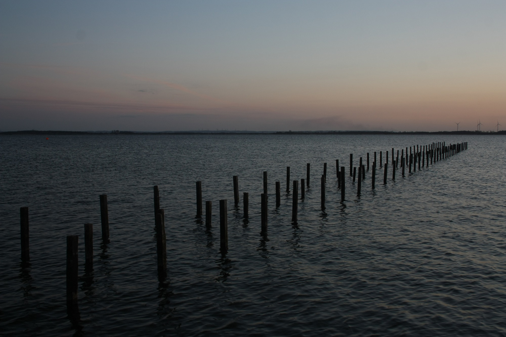 Blaue Stunde am Dümmer