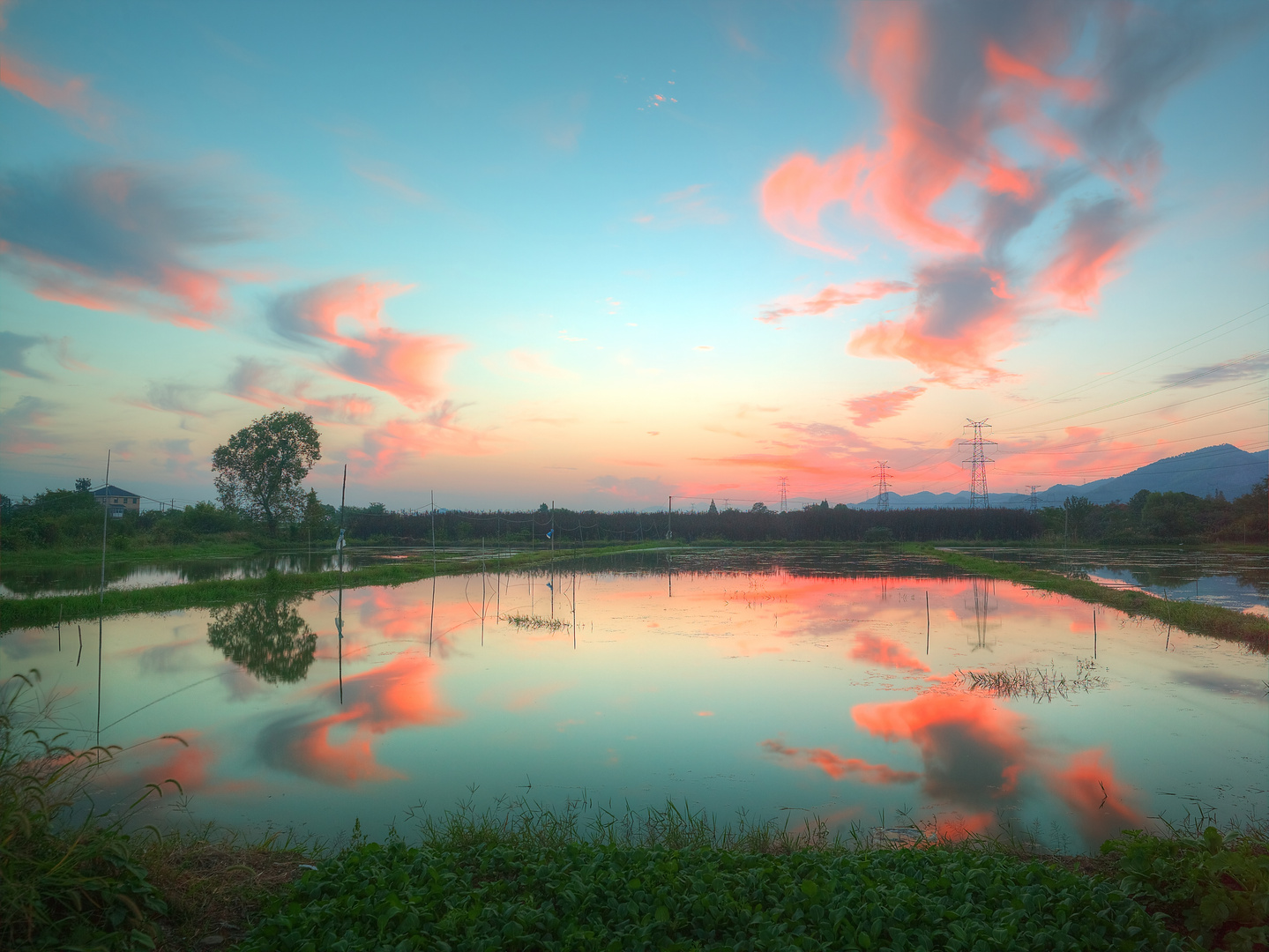 Blaue Stunde am Fischteich 2015_Oct_03