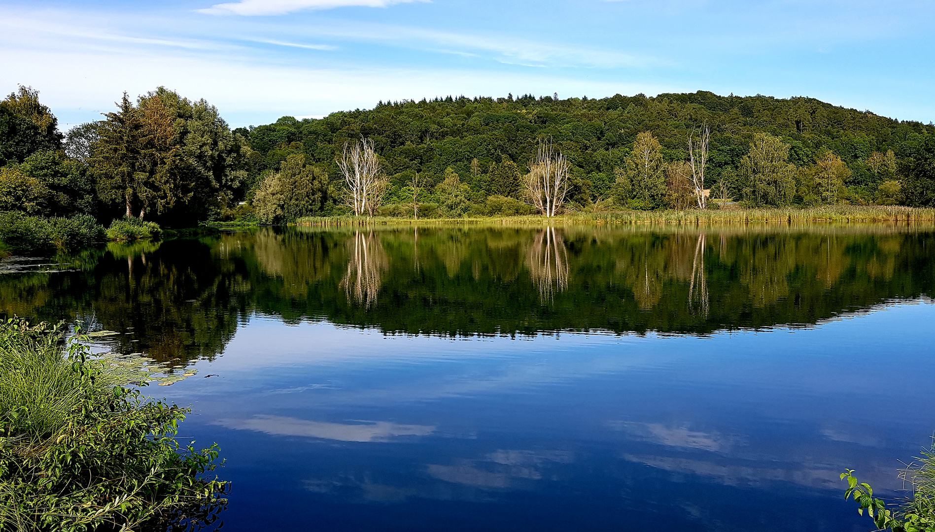 Blaue Stunde am Fischteich