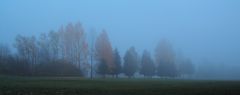 Blaue Stunde am Golfplatz