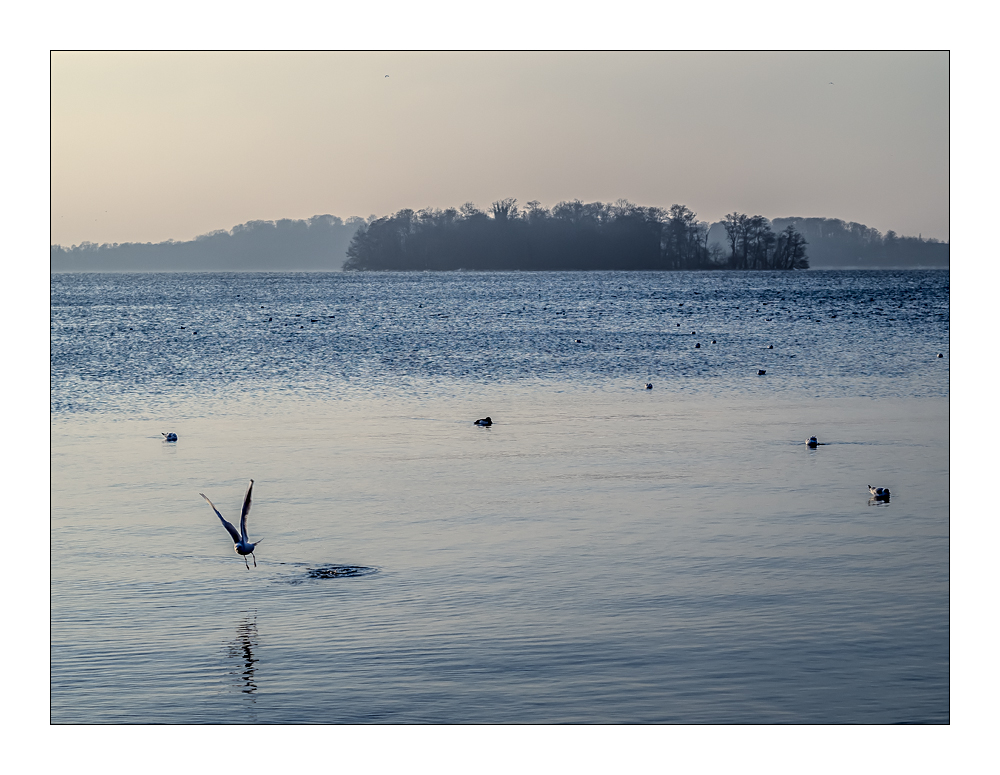 Blaue Stunde am Großen Plöner See 2