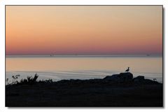 Blaue Stunde am Högklint / Gotland