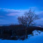 Blaue Stunde am Hohen Dörnberg