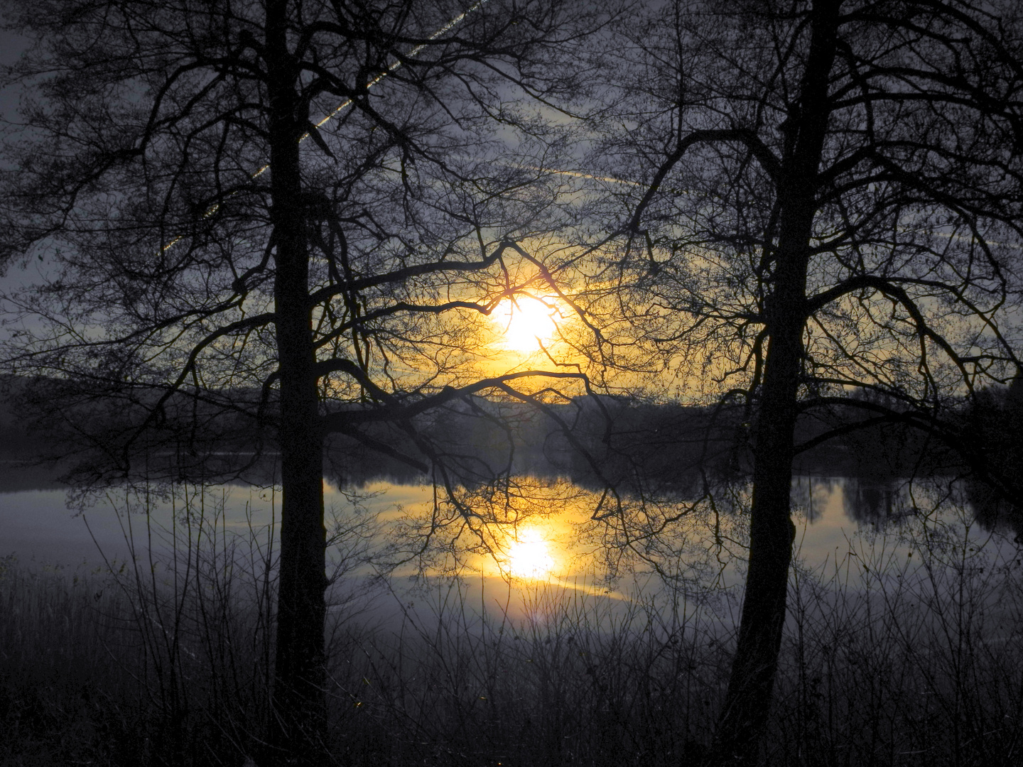 Blaue Stunde am Illmensee