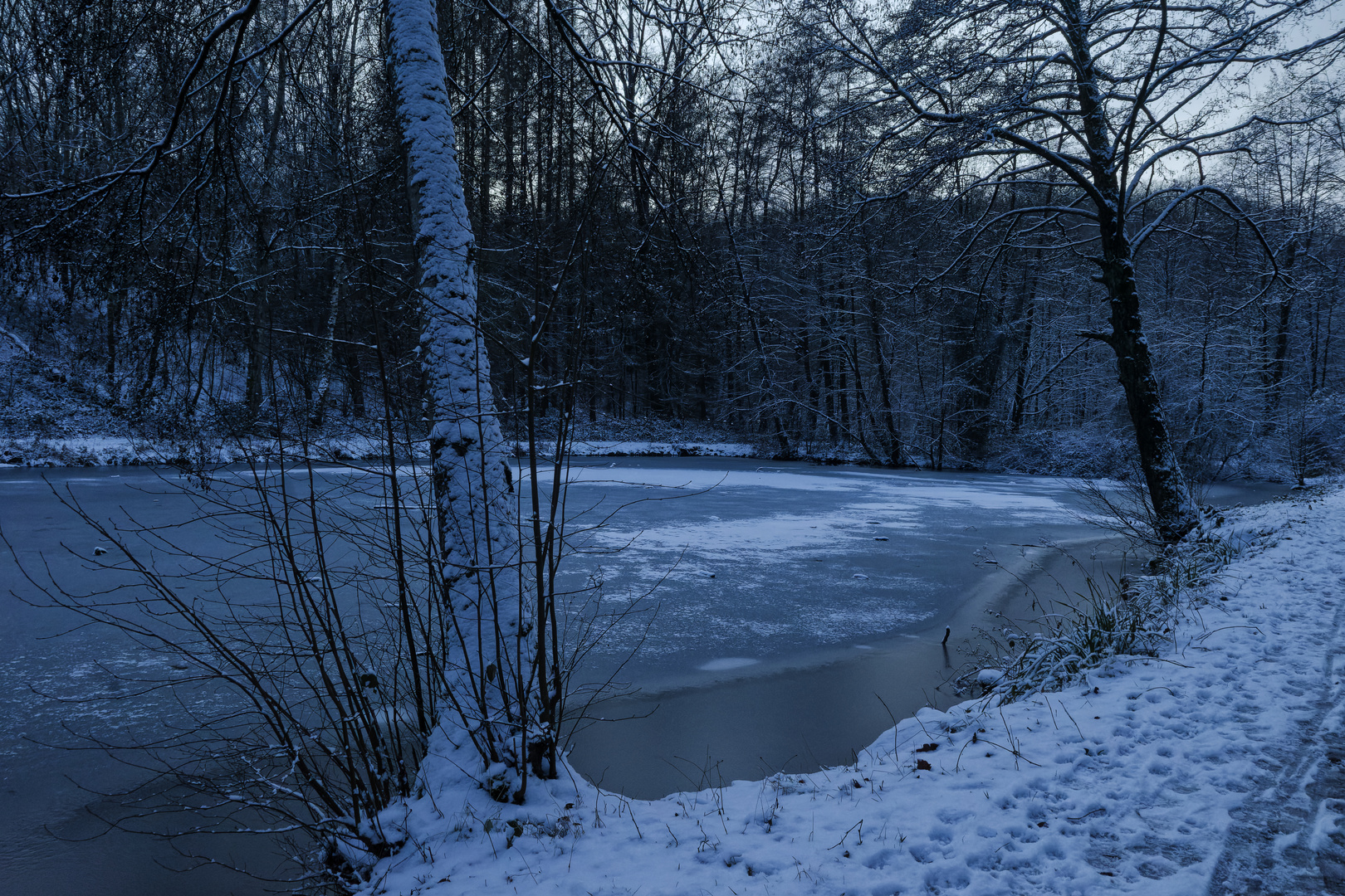 Blaue Stunde am Lasbachweiher (2)