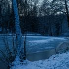 Blaue Stunde am Lasbachweiher (2)