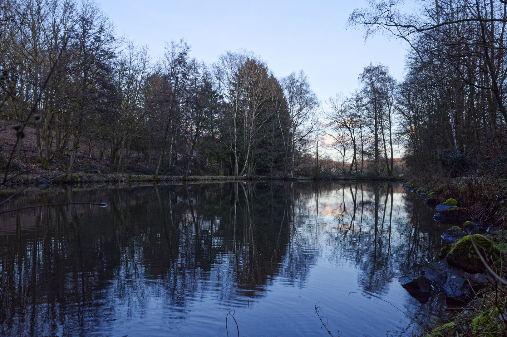 Blaue Stunde am Lasbachweiher (5)