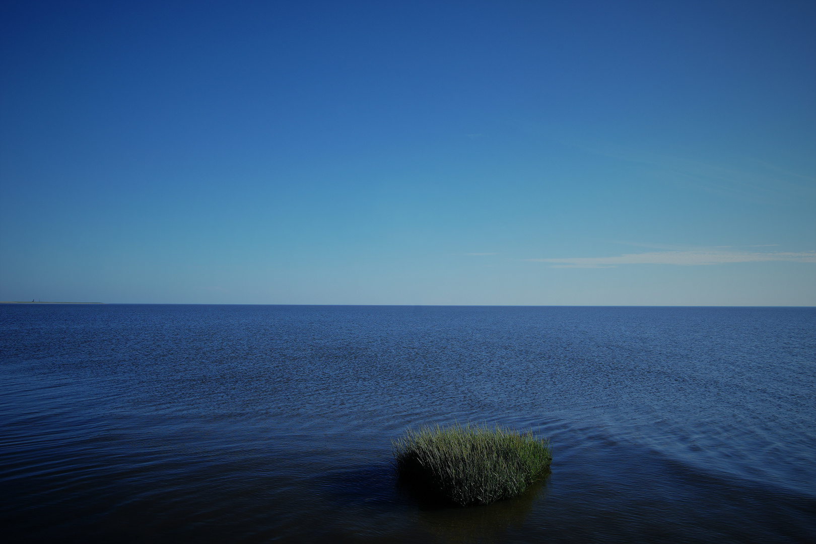 Blaue Stunde am Meer