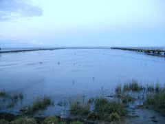 Blaue Stunde am Meer