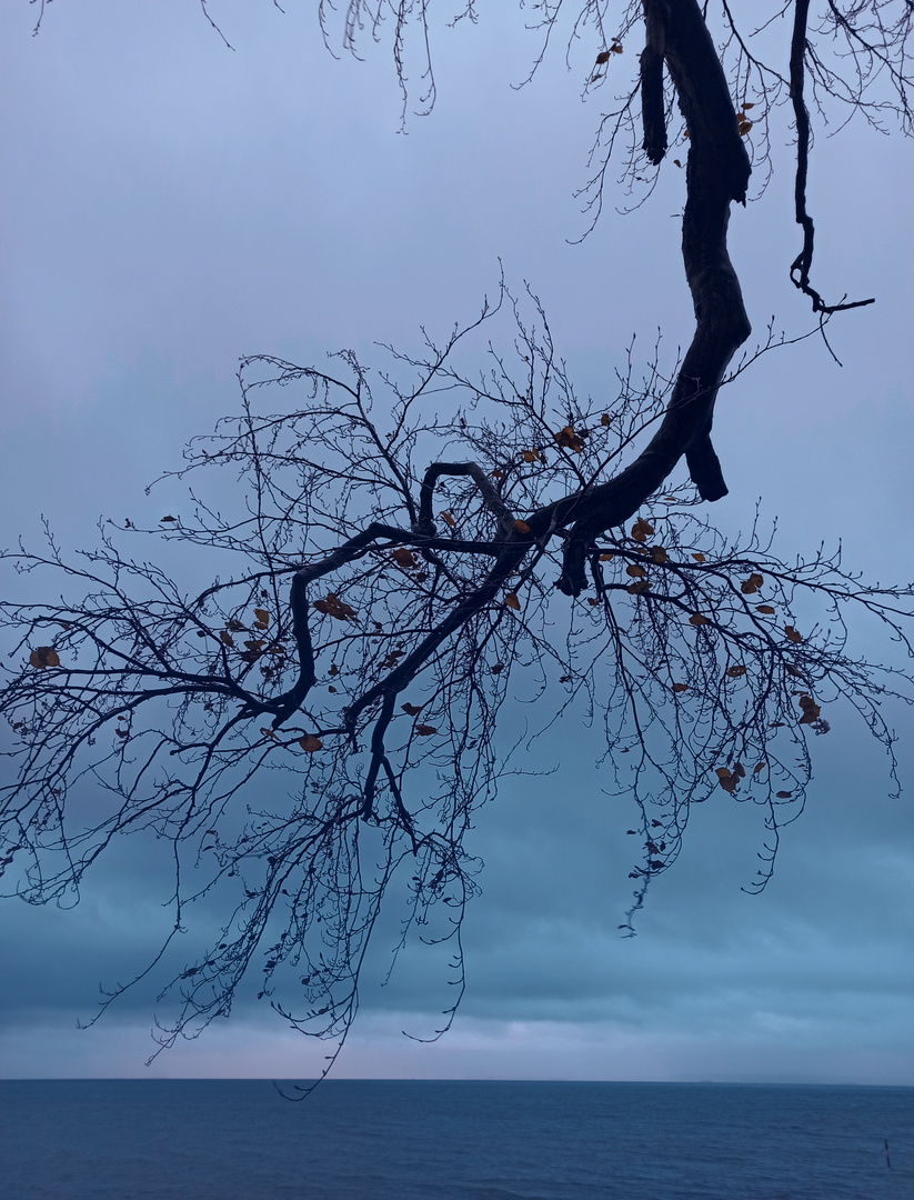 Blaue Stunde am Meer