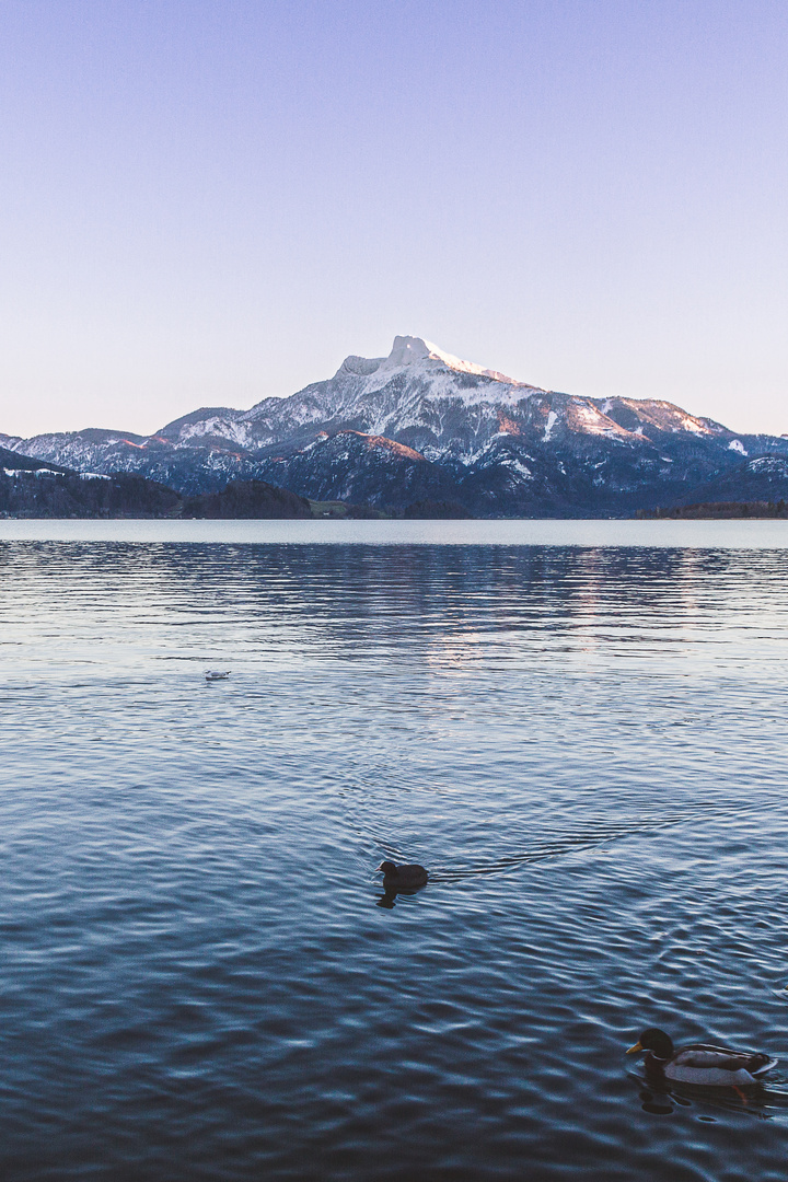 Blaue Stunde am Mondsee