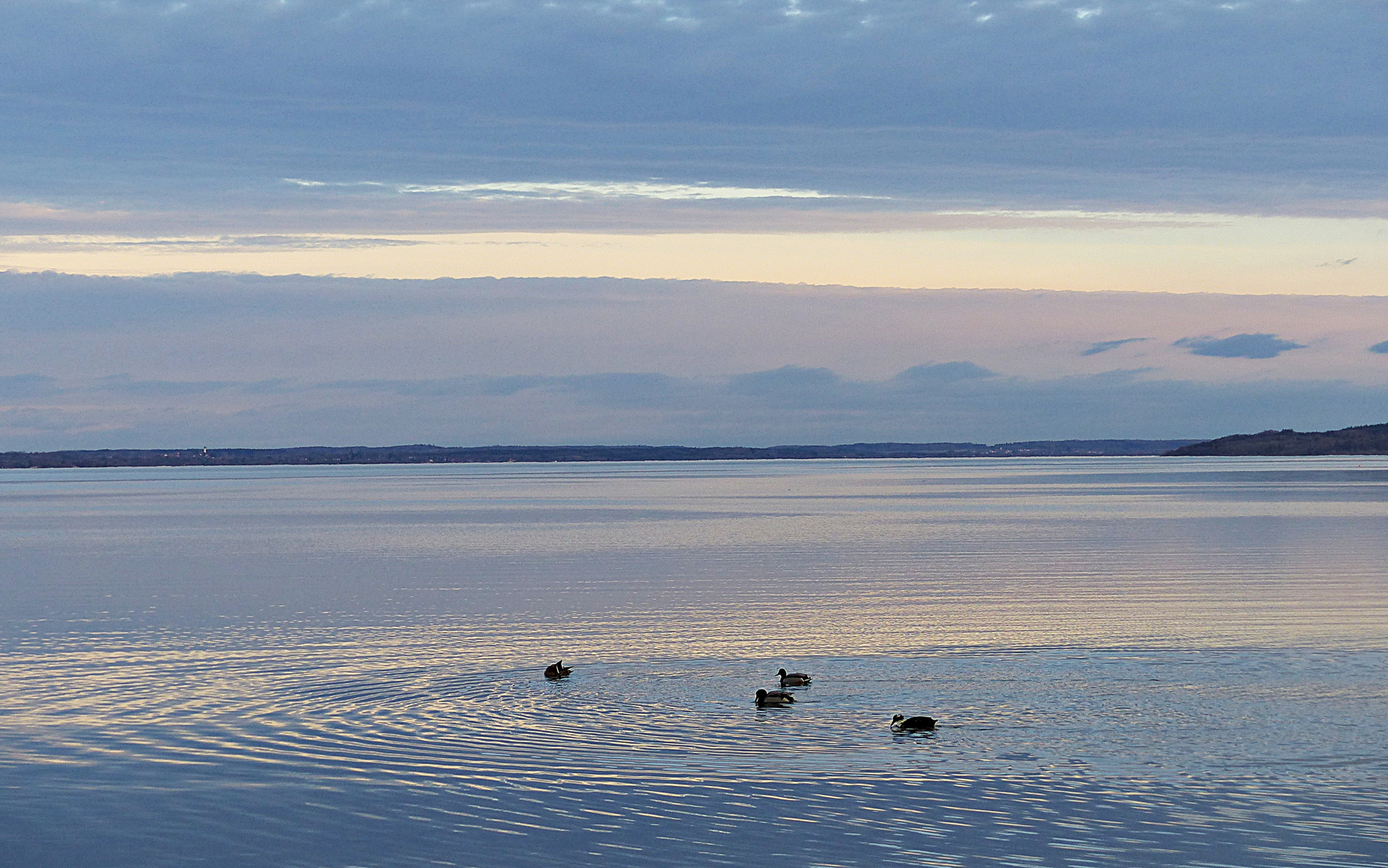 Blaue Stunde am Morgen