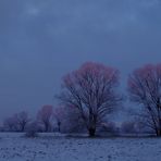 blaue Stunde am Morgen