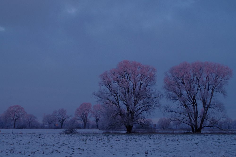 blaue Stunde am Morgen