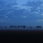 Blaue Stunde am Niederrhein