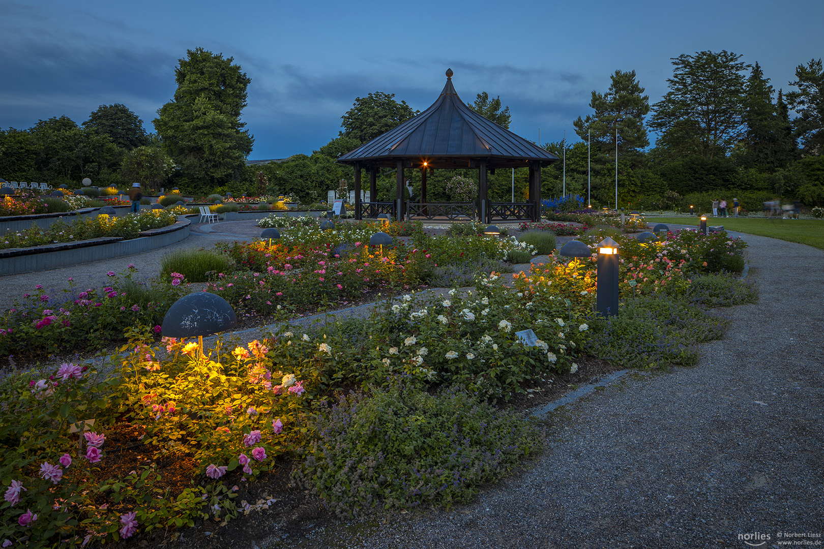 Blaue Stunde am Pavillon