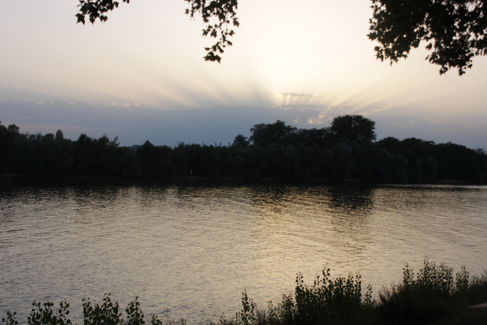 Blaue Stunde am Rhein