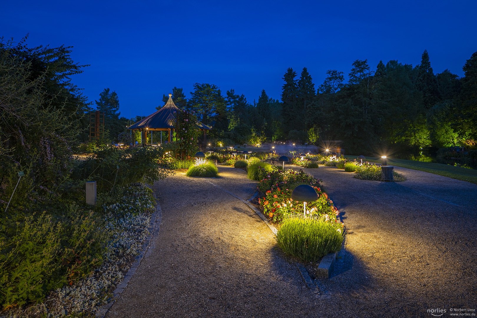 Blaue Stunde am Rosenpavillon