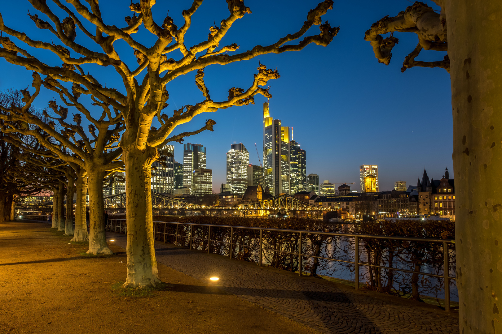 Blaue Stunde am Schaumainkai