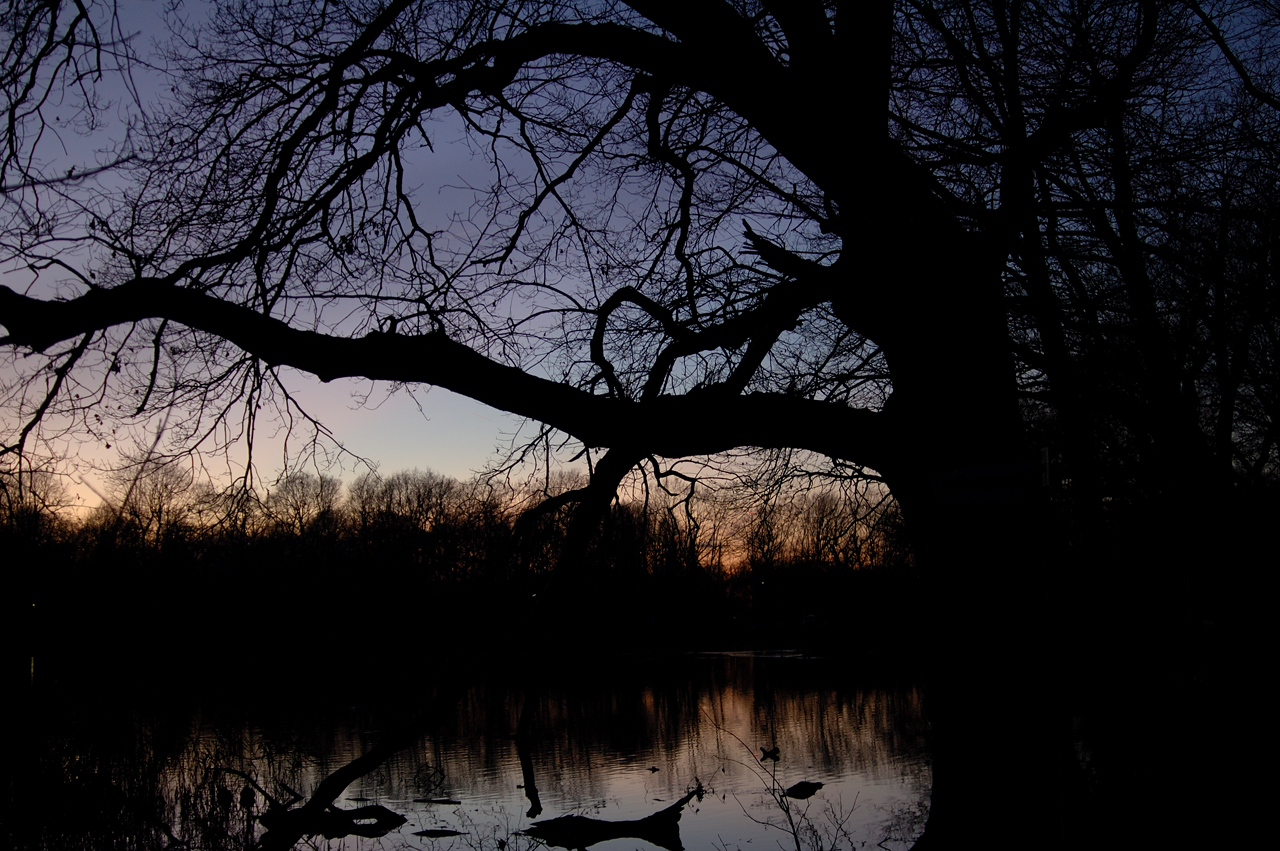 Blaue Stunde am Scheuermühlenteich