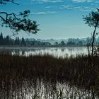 Blaue Stunde am See