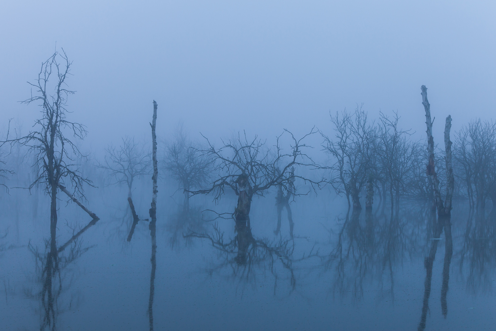 Blaue Stunde am See