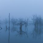 Blaue Stunde am See