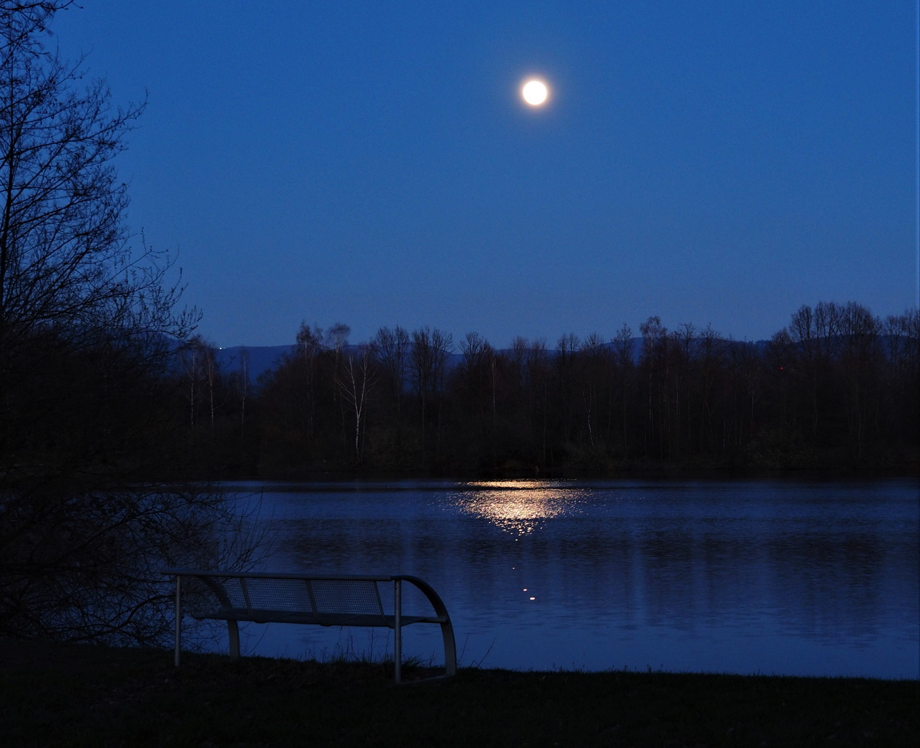 Blaue Stunde am See