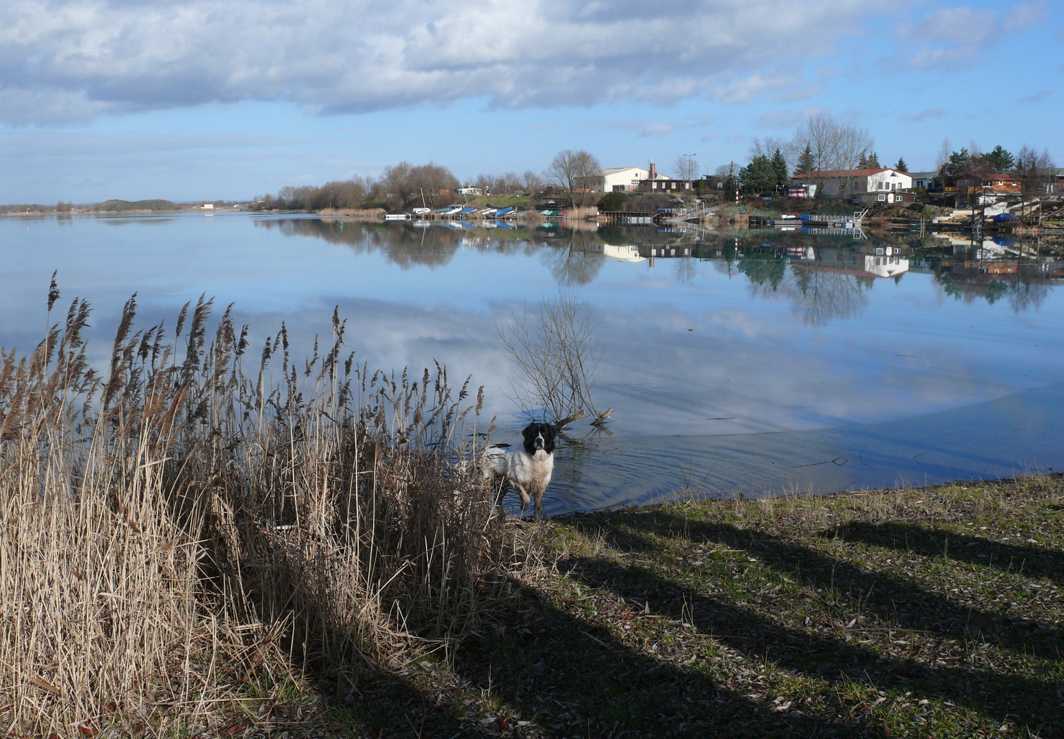 .. blaue Stunde am See ..