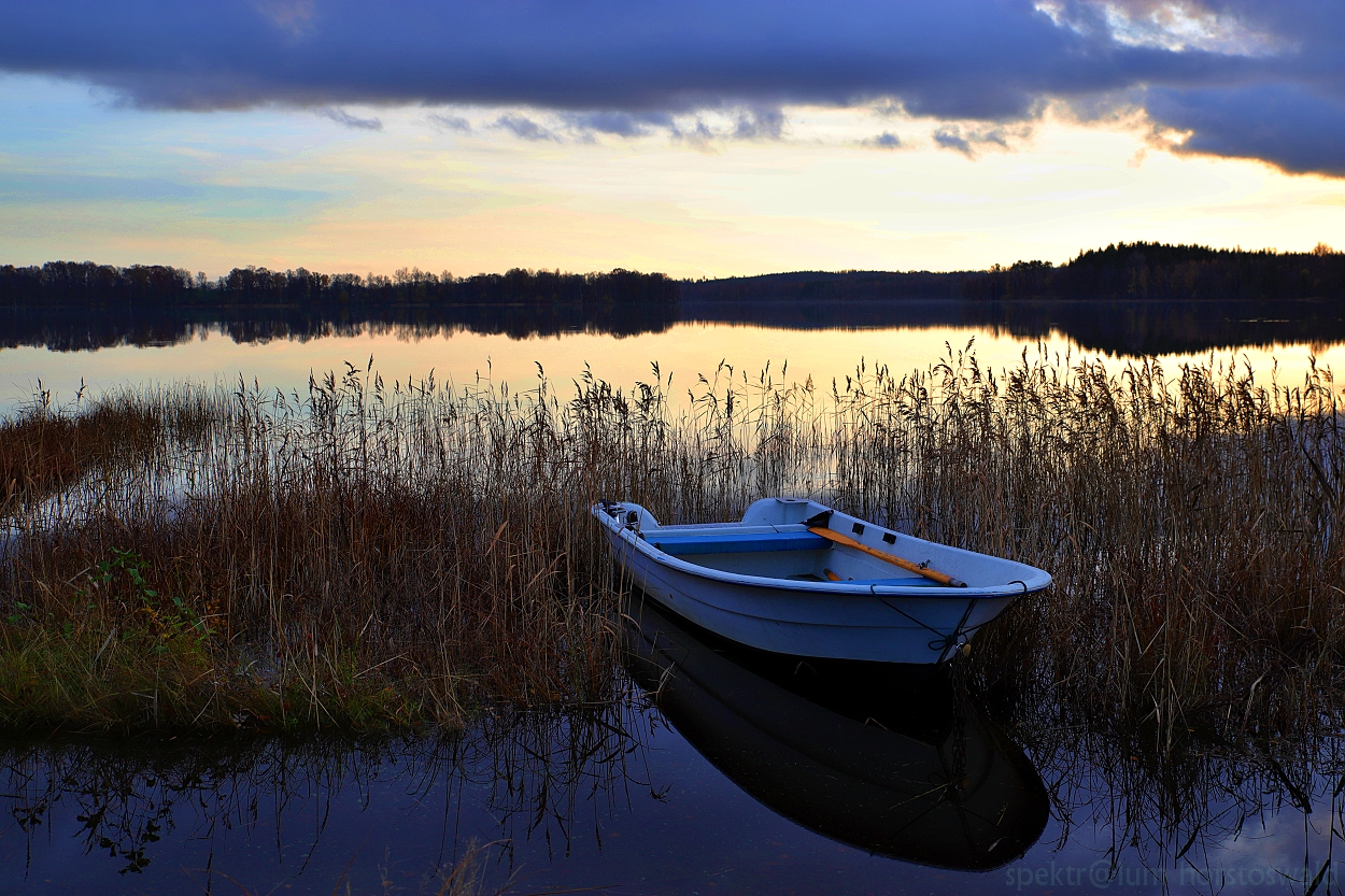 blaue Stunde am See