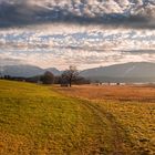 Blaue Stunde am Staffelsee