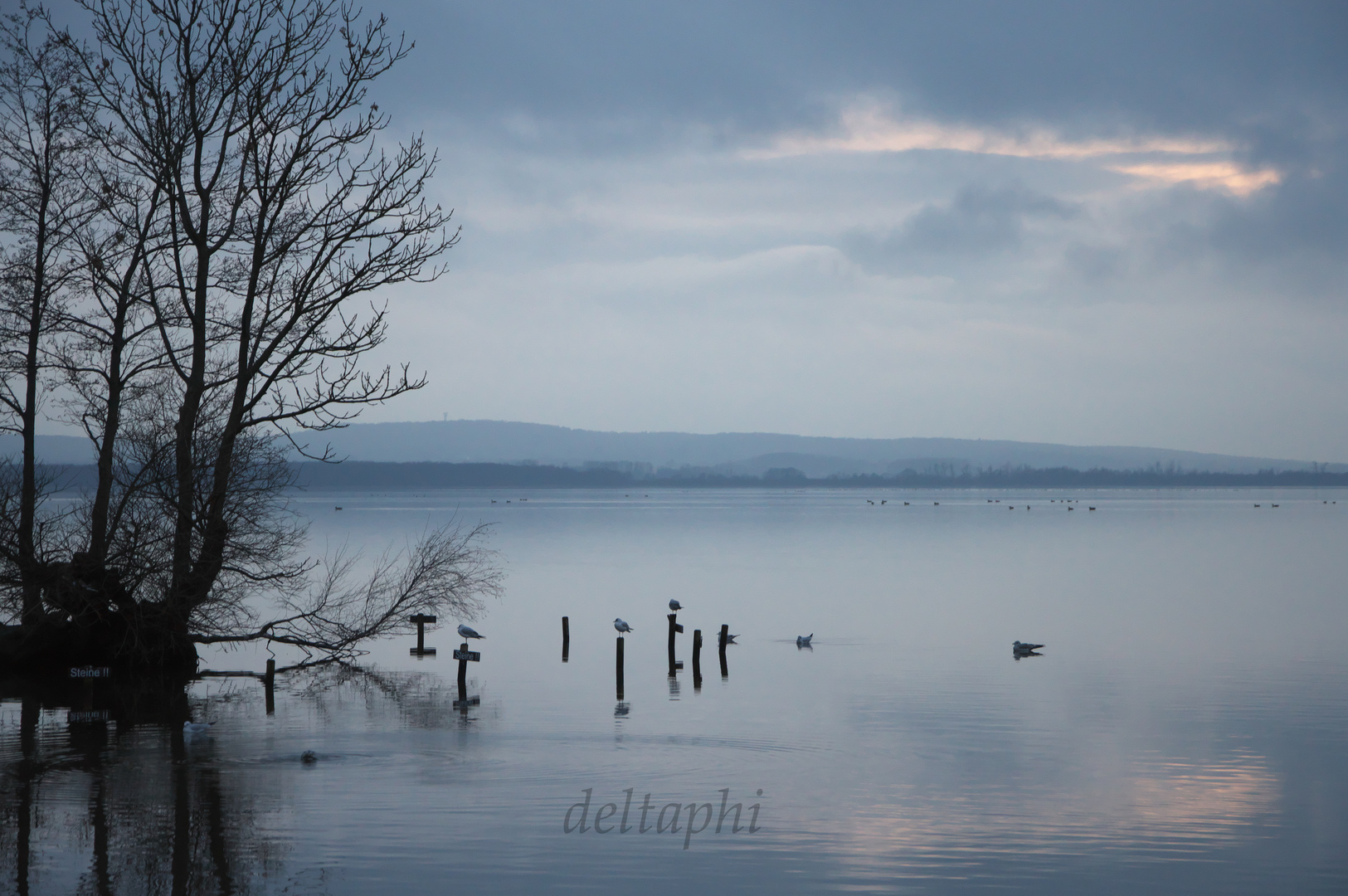 Blaue Stunde am Steinhuder Meer