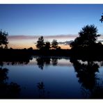 Blaue Stunde am Steinhuder Meer