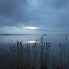 Blaue Stunde am Steinhuder Meer