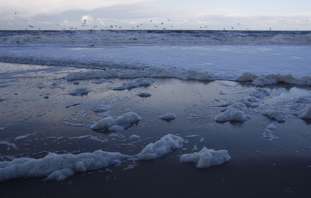 Blaue Stunde am Strand