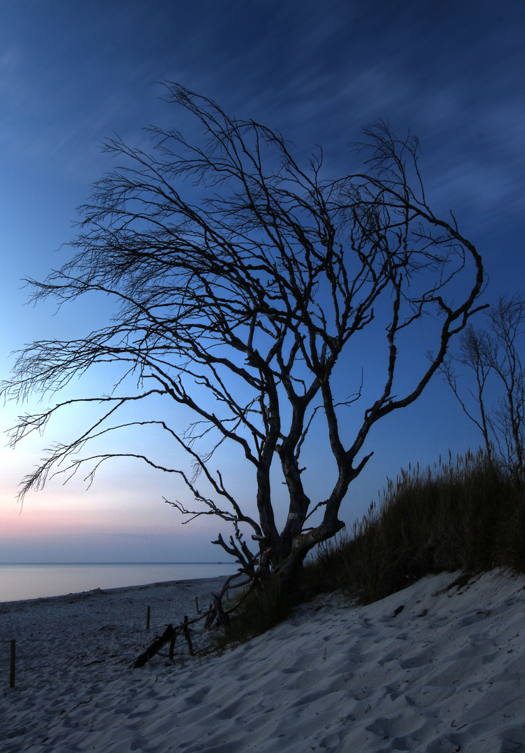 Blaue Stunde am Strand