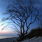 Blaue Stunde am Strand