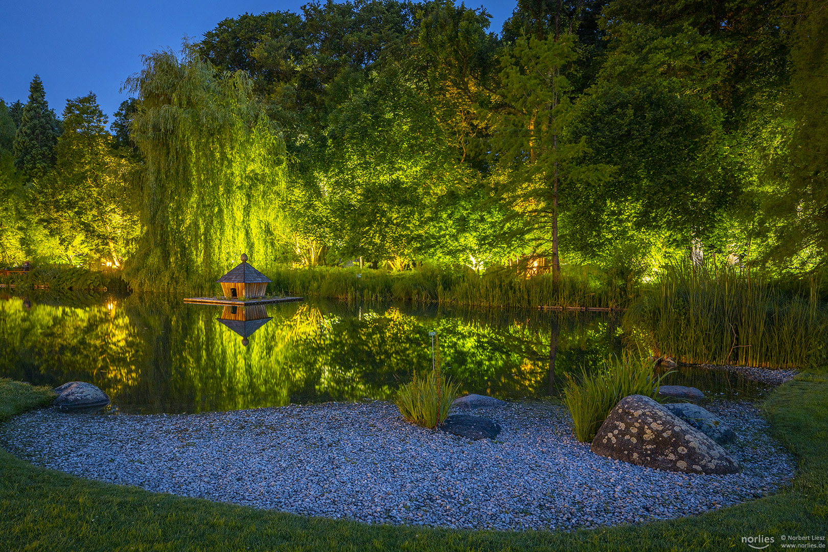 Blaue Stunde am Teich