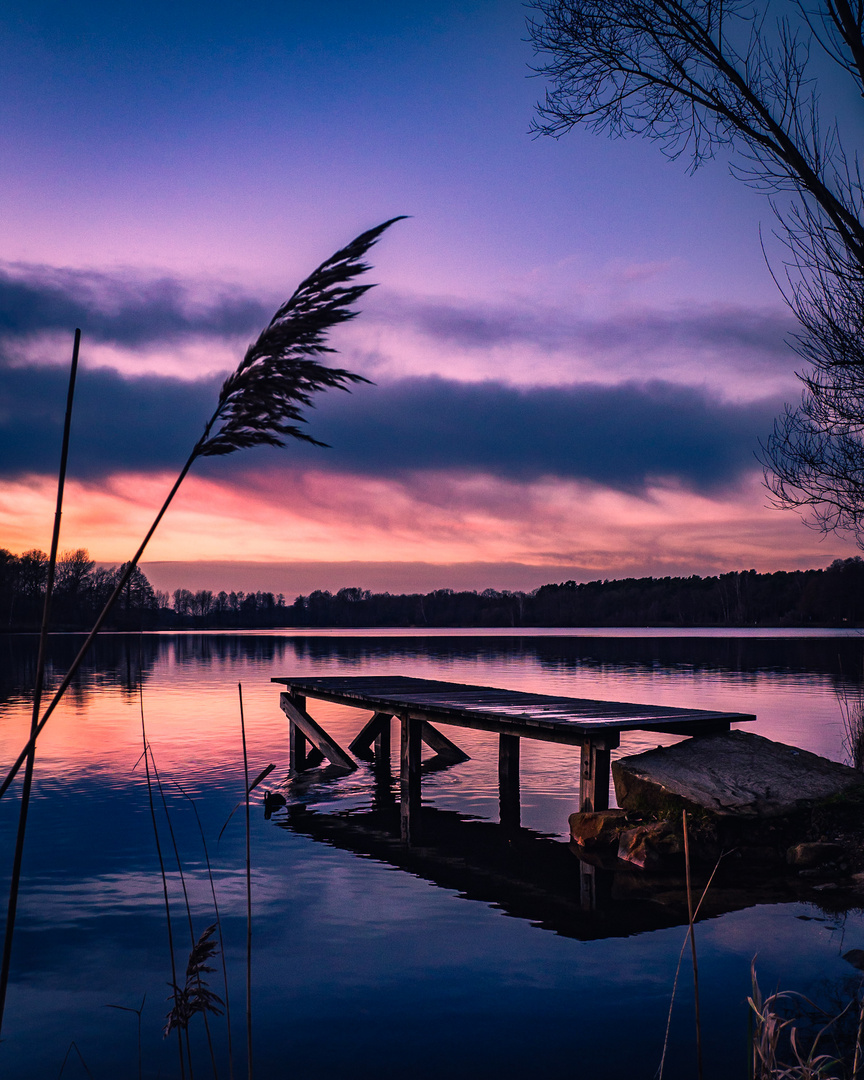 Blaue Stunde am Torfmoorsee 