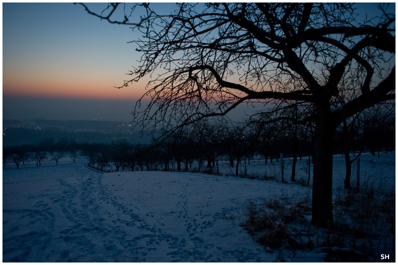 blaue stunde am walberla