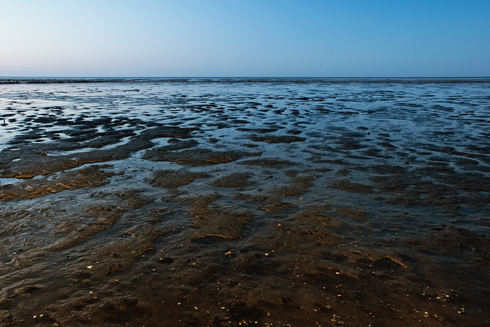 Blaue Stunde am Watt