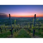 Blaue Stunde am Weinberg